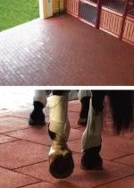 Rubber Tiles for horse stable