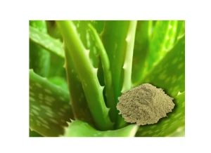 Aloe Vera extract for food cosmetic pharmaceutical