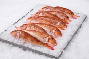 Frozen/Fresh Red Mullet