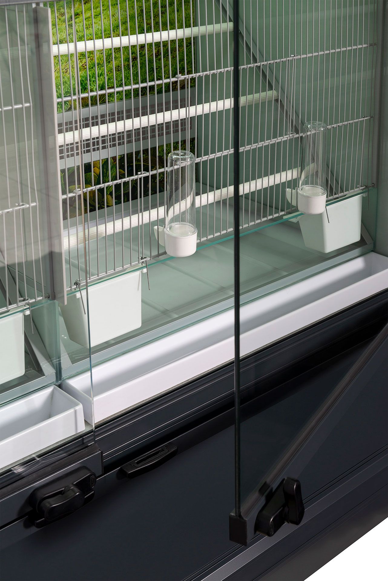 Buy Bird Display from ILA Europa, Portugal | Tradewheel.com
