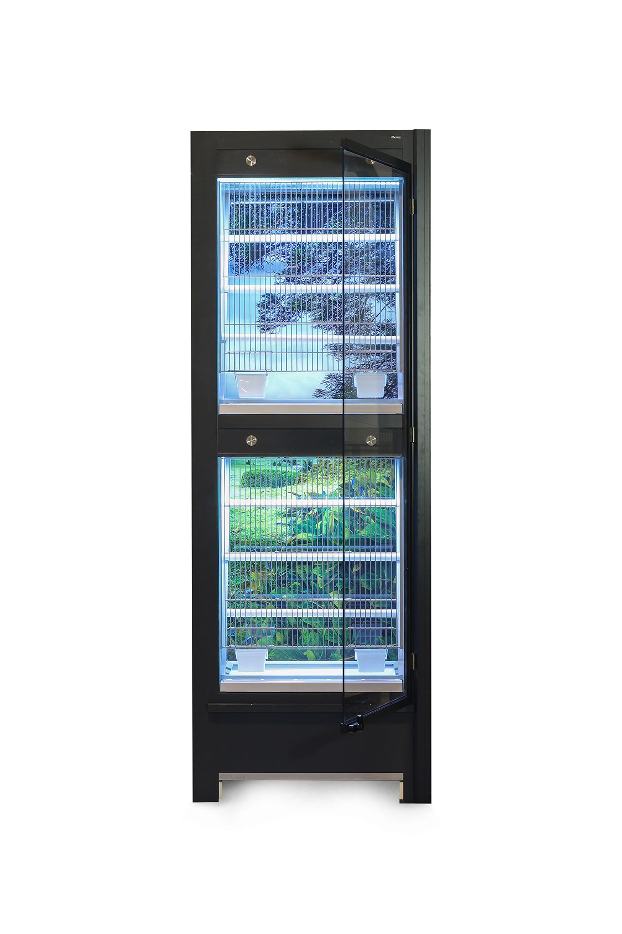 Buy Bird Display from ILA Europa, Portugal | Tradewheel.com