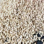 Cashew Nuts
