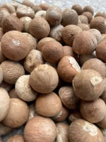 OFFER THE BEST QUALITY AND PRICE BETEL NUT / ARECA NUT / SUPARI NUT FROM JAMBI, INDONESIA