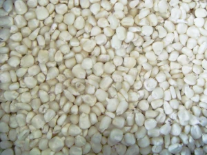 Wholesale White Corn