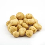 Supplier Fresh New Crop Vegetables Wholesale Potato Fresh Prices for Export Fresh Potatoes