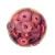 Import Organic fruit from Malaysia