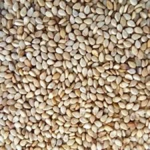 Direct Factory Price White Natural Sesame Seeds White Sesame Seeds International Price Raw White Sesame Seeds From Bang