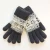 Import Men's double layer jacquard knitted glove from China