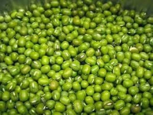 Mung Beans (Shiny Green)
