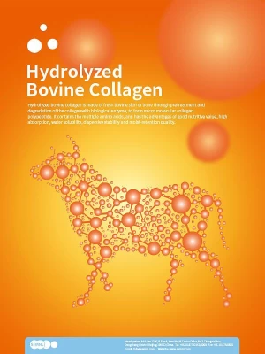 SEMNL Hydrolyzed Bovine Collagen﻿