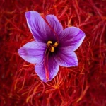 Iranian Saffron Super Negin