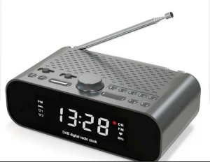 Portable DAB Radio