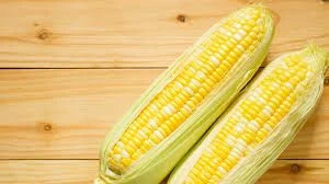 Factory Wholesale Price Superior Quality Best Selling Natural Yellow Color Fresh Sweet Corn
