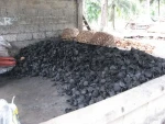 Best Quality Coconut Shell Charcoal
