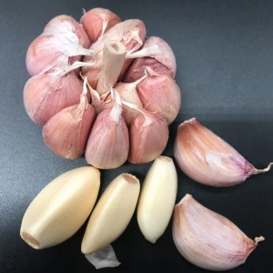Garlic fresh garlic supplier wholesale price normal white organic raw fresh garlic