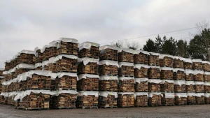 wood in africa