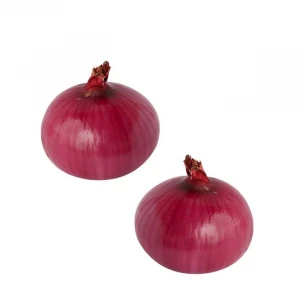 High quality fresh red and yellow onion price per ton