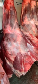 Canadian AA Grade Frozen Boneless Beef Quarters