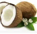 Coconut fruits