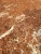 Import Cocoa Beans from Canada