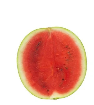 Fresh Water Melon Fast Shipping High Quality Water Melons