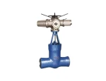 Pressure Seal Gate Valve