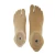Import prosthetic orthopedic implants foot, sach foot, polyurethane foot-PFC from China