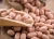 Import Premium Grade Peanuts for Sale – Raw, Roasted, or Blanched | Wholesale Supplier from Kenya