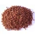 Import Grain Bulk Red Sorghum and White Sorghum at Affordable Price Supplier at Wholesale Rate from USA