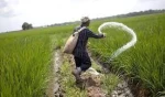 urea46  fertilizer