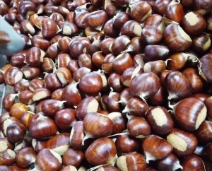 Dried Chestnut kernels size 30-60
