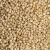 Import Grain Bulk Red Sorghum and White Sorghum at Affordable Price Supplier at Wholesale Rate from USA