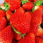 fresh strawberry