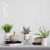 Import 10-20cm Mini Plastic Artificial Plants in Pot for Home Decor from China