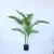 Import 10 leaves 135cm  5724# palm tree artificial from China