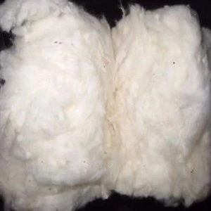 100% certified organic raw cotton