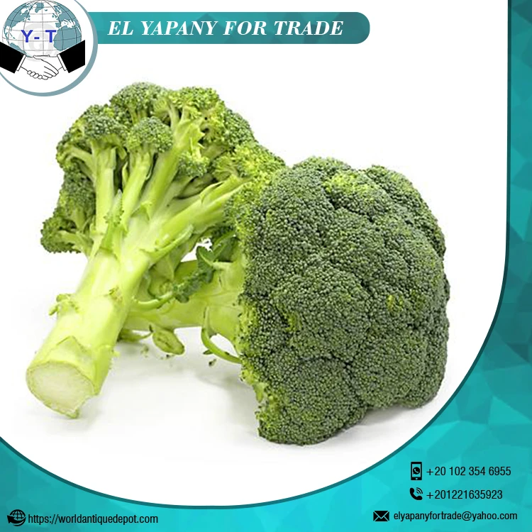 100% Natural Broccoli Vegetable
