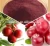 Import 100% Natural Cranberry extract powder plant & fruit extract best price from China