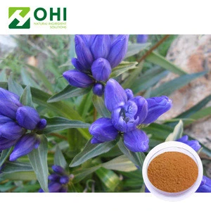 100% Natural Herbal Extract hot Selling Pure Natural Gentiana Lutea Root Extract