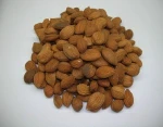 100% Quality Dried Apricot Kernels In Austria