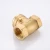 Import NPT and BSP Thread Soft Seal Brass Swing Check Valves from China