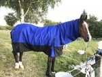 1200d Turnout Combo Blanket / Outdoor winter rugs horse rugs 200gm