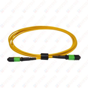 144 Core MPO Trunk Patch Cord for  Male to  Female Connector