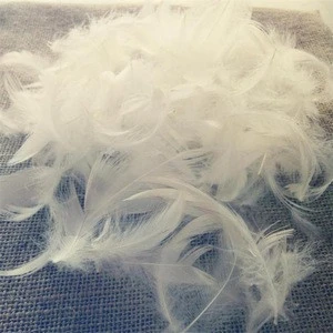 2-4cm washed white pheasant duck feathers factory for sale cheap