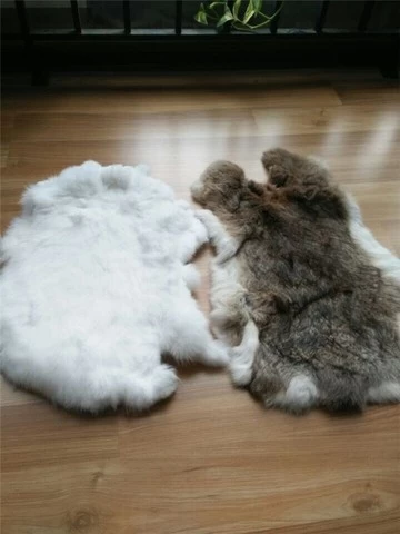 2 White Luxurious Rex Rabbit Fur Pelts Tanned Hides
