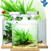 2018best selling products china suppliers aquarium fish  tank