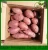 Import 2019 Sweet potato/FROZEN SWEET POTATO from China