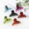 2020 Hair Accessories Ornaments Claw Hairpin Clamp Plastic 6cm For Women Vintage Body Customized China
