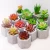 2020 hot mini artificial succulent bonsai indoor