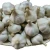 Import 2020 New crop China/Chinese cheap Price Fresh Garlic from China